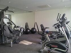 Terrene At Bukit Timah (D21), Condominium #624599731